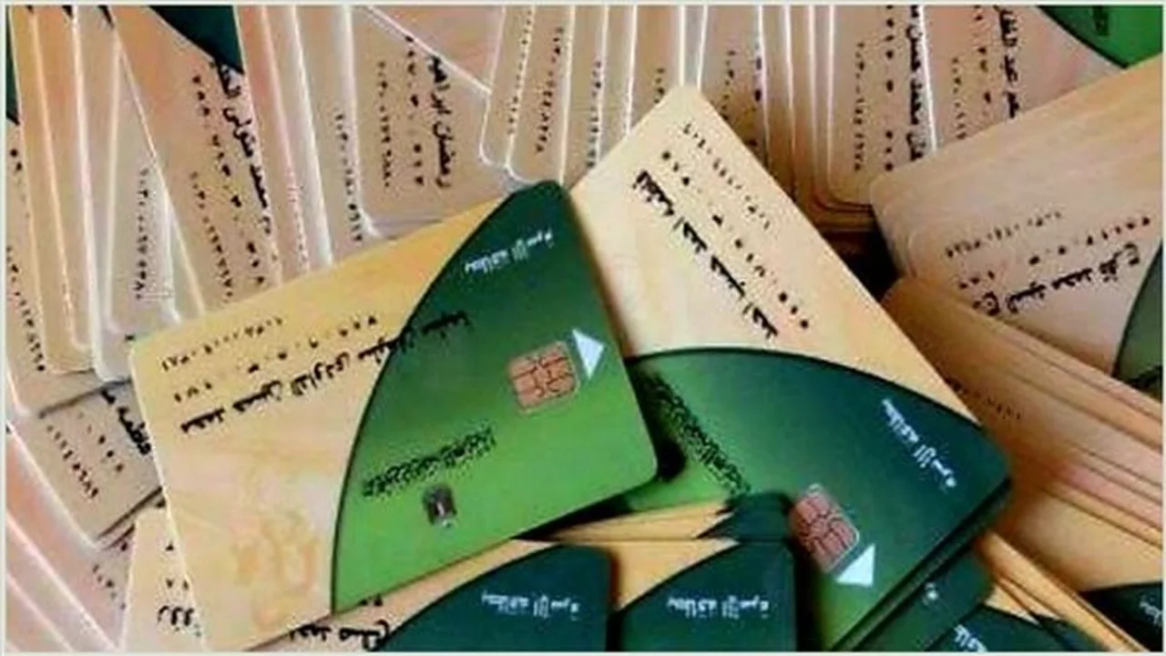 ضم الأبناء.. إجراءات الإضافة لبطاقة التموين أونلاين عبر مصر الرقمية